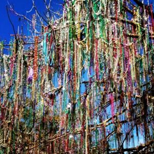 Meet your Posher, Bridget